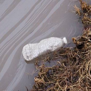 Plastic water bottle floating in water