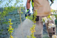 Roundup weedkiller facing lawsuits