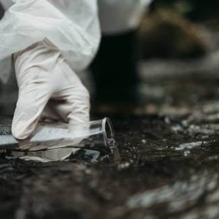 White gloved hand testing water